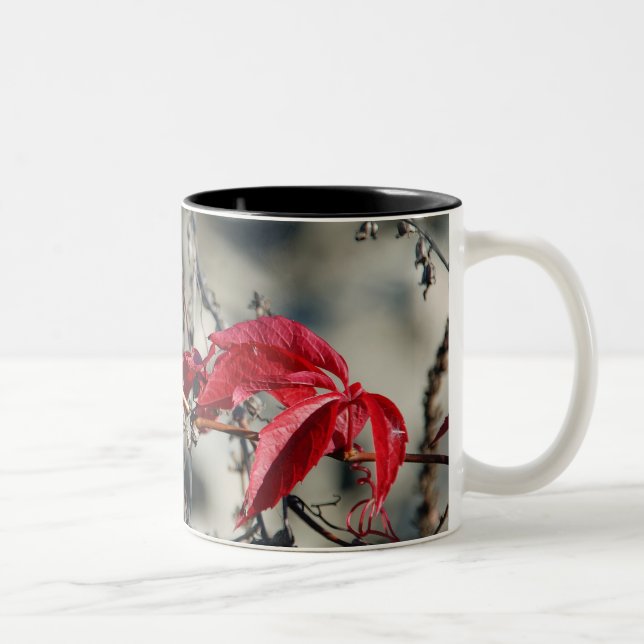 Tasse der roten Blätter (Rechts)