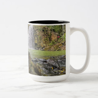 Tasse der Wasserfall-Oase - Grünwälder und Felsens