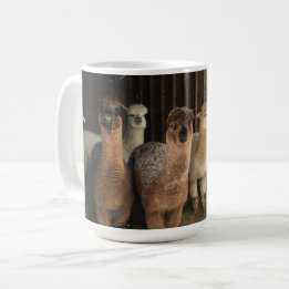 Tasse des Kaffees - Alpacas im Schnee