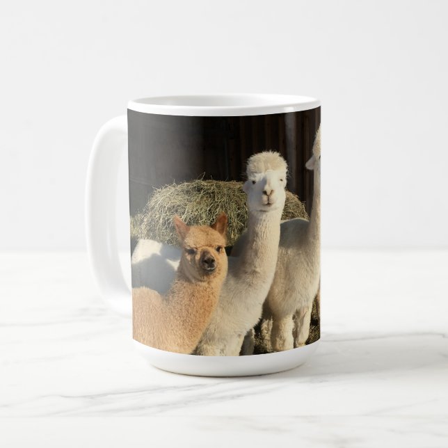 Tasse des Kaffees - Alpacas in der Wintersonne (Vorderseite Links)