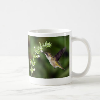 Tasse des Kolibri-10