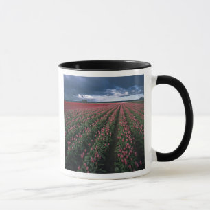 Tasse Des tulipes roses et rouges brillent sous un ciel