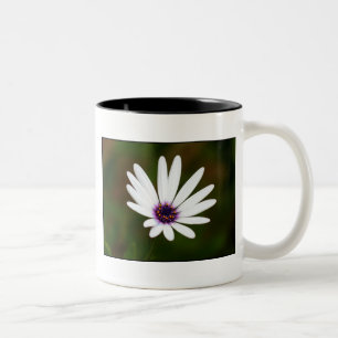 Tasse des weißen Gänseblümchens