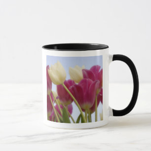 Tasse Détail de tulipes. Crédit : Don Paulson /