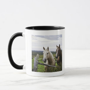 Tasse Deux chevaux tiennent la barrière proche dans le