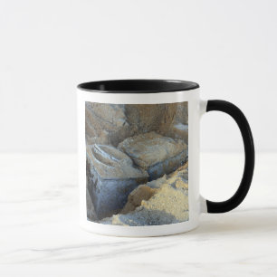 Tasse Deux dispositifs en forme de boîte emballés