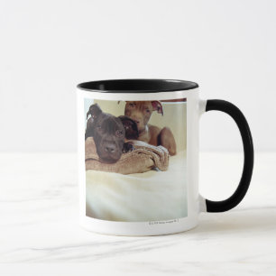 Tasse Deux terriers de pitbull se reposant à