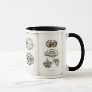 Tasse d'impression d'anatomie de cerveau