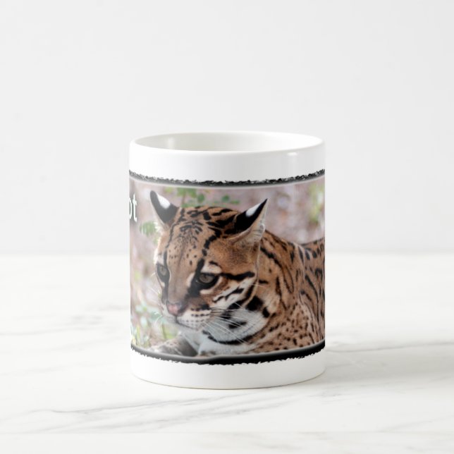 Tasse d'Ocelot (Centre)