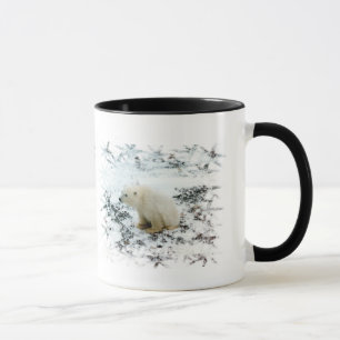 Tasse d'ours blanc de bébé