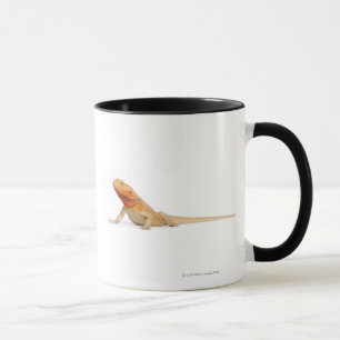 Tasse Dragon barbu scaleless de SilkBacks - Pogona