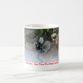 Tasse drôle avec la photo du raton laveur et de la