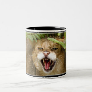 TASSE du chat de jungle 01