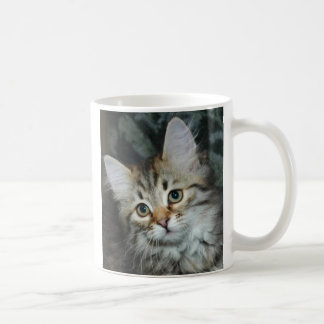 Tasse du chaton 2
