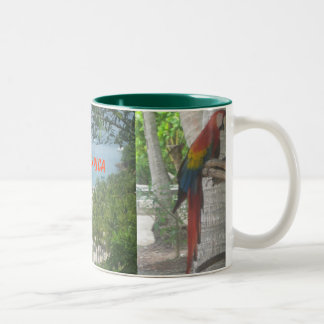 Tasse du Costa Rica
