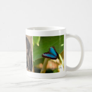 Tasse du Costa Rica