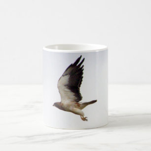 Tasse du faucon de Swainson