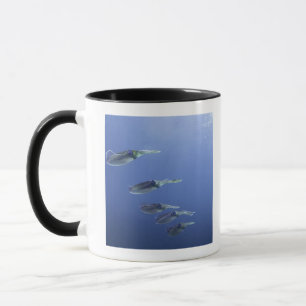 Tasse École de calmar dans les Caraïbe