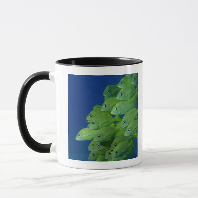 Tasse École du français bluestriped et des grognements (Gauche)