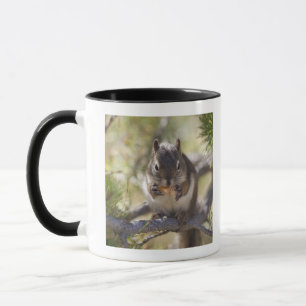 Tasse Écureuil mangeant un cône de pin