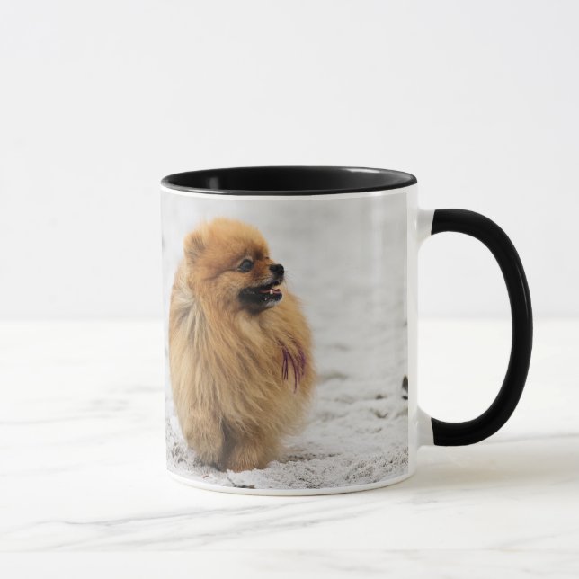 Tasse Edgrrrr #3 - Pomeranian (Droite)