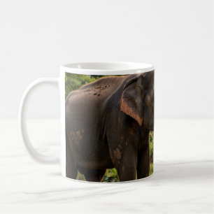 Tasse éléphant du parc national de Yala - Faune de
