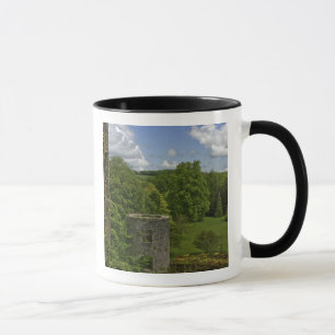 Tasse En Irlande, au château de Blarney une tour en pier