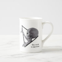 Alien gris, la vérité est là