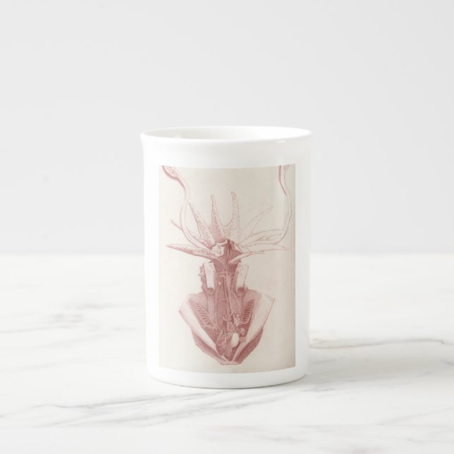 Tasse En Porcelaine Calmar Vintage Nautique (Devant)