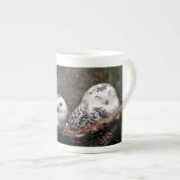 Chouette Harfang Couple Art Bois Faune