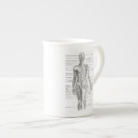 Diagramme humain éducatif d'anatomie