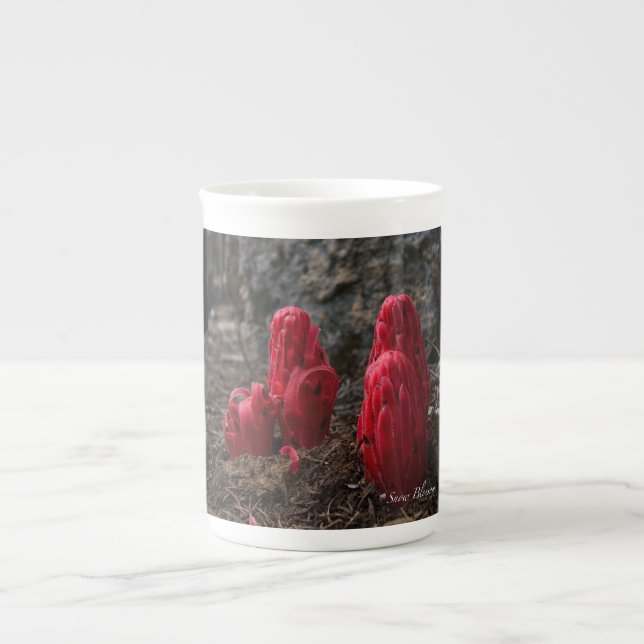 Tasse En Porcelaine Fleurs de neige (Devant)