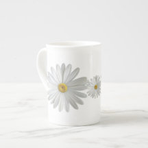 Fleurs marguerites blanches