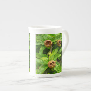 TASSE EN PORCELAINE FRUIT MODLAIRE
