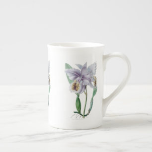 Tasse En Porcelaine Orchidée de Cattleya Os botanique Chine Mug