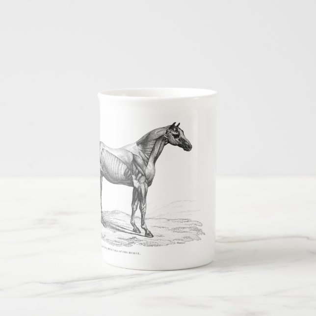Tasse En Porcelaine Rétro image d'anatomie de muscle de cheval (Devant)