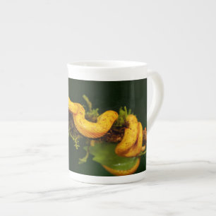 Tasse En Porcelaine Serpent Viper Poison du Costa Rica