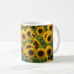 Tasse ensoleillée de gisement de tournesols