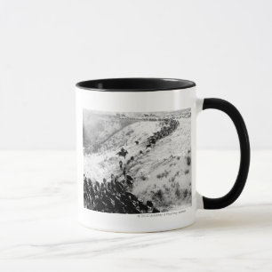 Tasse Entraînement des bétail pendant l'hiver