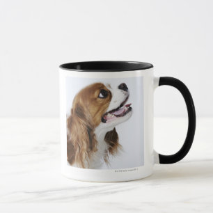 Tasse Épagneul cavalier du Roi Charles, vue de côté