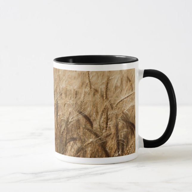Tasse Erick, Oklahoma Route 66 (Droite)