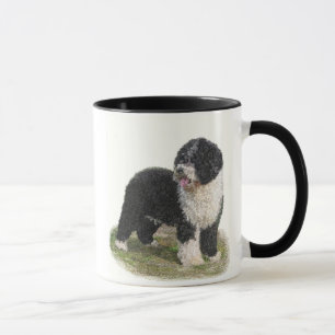 Tasse espagnole de chien d'eau