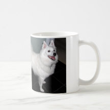 Tasse esquimaude américaine