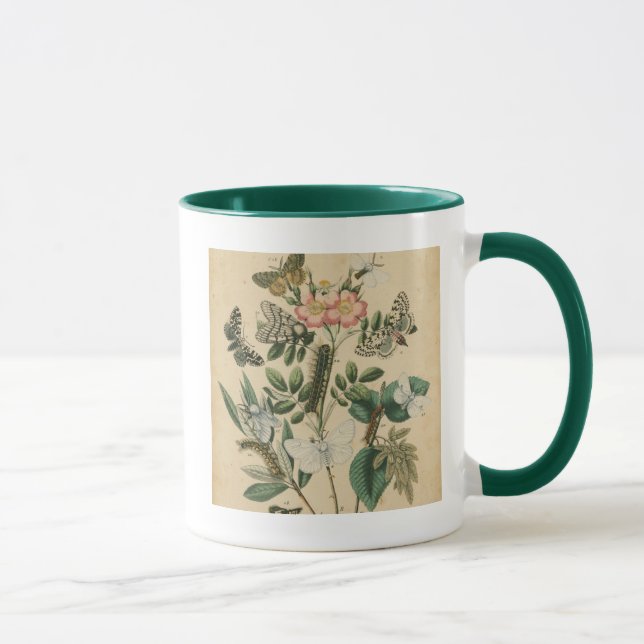 Tasse Étapes de la vie des papillons par Vision Studio (Droite)