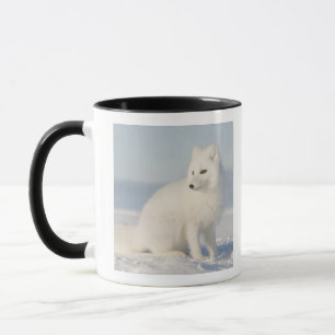 Tasse États-Unis, Alaska, 1002 Plaine côtière de l'Arcti