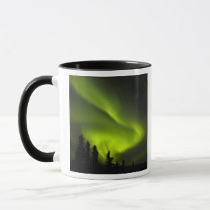 Tasse États-Unis, Alaska, Chena Hot Springs. Aurore Boré