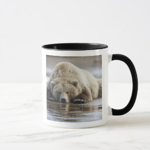 Tasse États-Unis, Alaska, Parc national de Katmai, Ours 