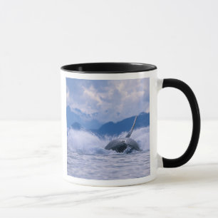 Tasse États-Unis, Alaska, Tongass National Forest, Bossu