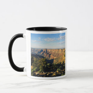 Tasse États-Unis, Arizona, Parc national du Grand Canyon