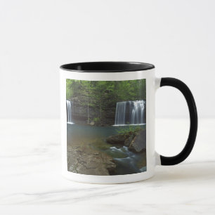 Tasse États-Unis, Arkansas, Ozark-St Francis National